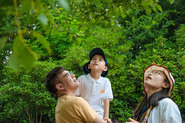 Father’s Day celebration,Hiba Academy Nantong Nursery